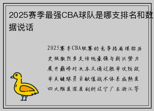 2025赛季最强CBA球队是哪支排名和数据说话