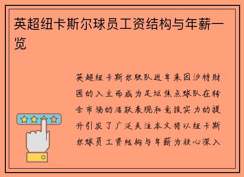 英超纽卡斯尔球员工资结构与年薪一览